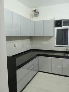 1 BHK Flat for rent in Punawale, Pune - 667 Sqft