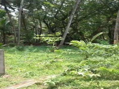 Residential Plot 590 Sq. Meter for Sale in Benaulim, Goa