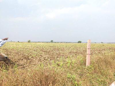 Agricultural Land 6 Acre for Sale in Phanda, Bhopal