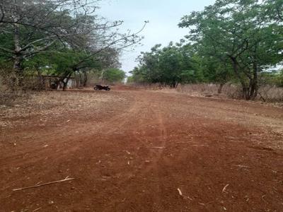 Agricultural Land 16 Acre for Sale in Sirkatnalli, Bidar