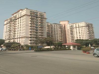 1767 sq ft 4 BHK 4T Apartment for sale at Rs 2.20 crore in DLF Oakwood Estate in Sector 25, Gurgaon