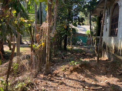 Agriculture Wadi Plot In Alibag Nagaon