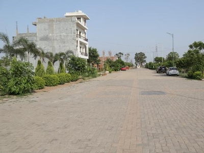 Chandigarh Royal City