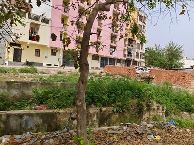 Freehold Property Noida