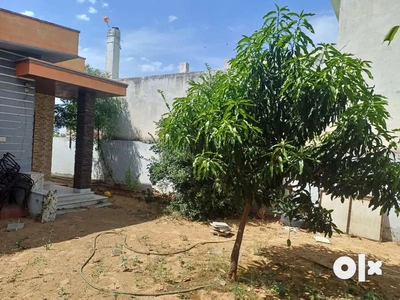 Loanable 200 sq. Yard out house with fruit trees.