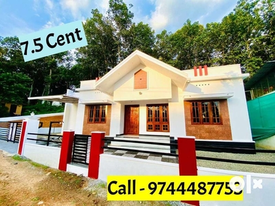 Pala - Kottayam Road , New Beautiful House For Sale