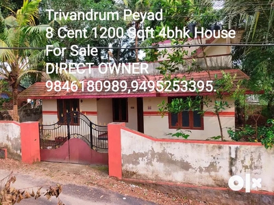 PEYAD 8 CENT 4BHK 1200 SQFT 13 YEAR OLD HOUSE FOR SALE.