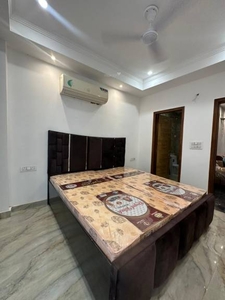 1000 sq ft 2 BHK 2T Apartment for rent in Project at Freedom Fighters Enclave, Delhi by Agent SK Properties