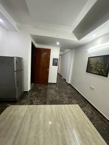 1000 sq ft 2 BHK 2T BuilderFloor for rent in Project at Freedom Fighters Enclave, Delhi by Agent Chaudhary Real Estate