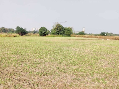 1000 sq ft Plot for sale at Rs 3.00 lacs in Zamindar Zamindar Plots Chirle in Chirle, Mumbai