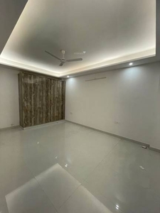 1200 sq ft 2 BHK 2T Apartment for rent in Project at Saket, Delhi by Agent Nigam associate