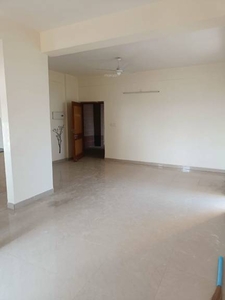 1200 sq ft 2 BHK 2T Apartment for rent in Project at Sector 19 Dwarka, Delhi by Agent Vishal Associates