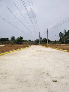 1200 sq ft Plot for sale at Rs 20.50 lacs in Project in Chikkalasandra, Bangalore