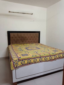 1800 sq ft 3 BHK 2T Apartment for rent in DDA Sector Pocket B C at Vasant Kunj, Delhi by Agent Elite consultant