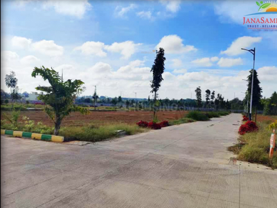 4000 sq ft Plot for sale at Rs 60.00 lacs in Project in Devanahalli, Bangalore