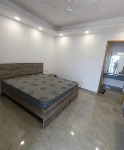 500 sq ft 1 BHK 1T Apartment for rent in Project at Saket, Delhi by Agent Nigam associate