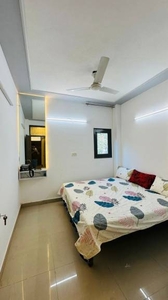 500 sq ft 1 BHK 1T BuilderFloor for rent in Project at Chattarpur, Delhi by Agent DIVINE HOMES