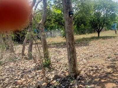 Commercial Land 20 Acre in Shankarpalli Hyderabad