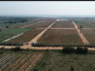 Hari Chandana Agro Park