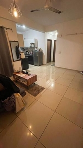 2 BHK Flat for rent in Sector 144, Noida - 1160 Sqft