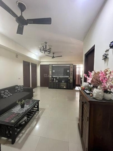 3 BHK Flat for rent in Noida Extension, Greater Noida - 1305 Sqft