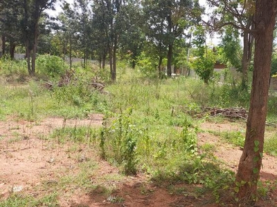 Sector 72 A Plot For Sale