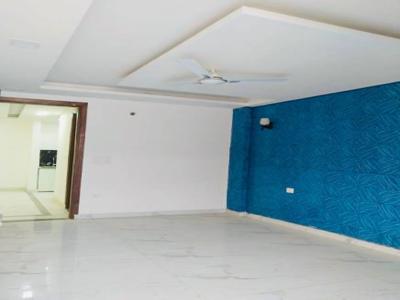 810 sq ft 2 BHK 2T NorthEast facing Completed property Apartment for sale at Rs 35.70 lacs in Ajay ARS Apartments in Janakpuri, Delhi