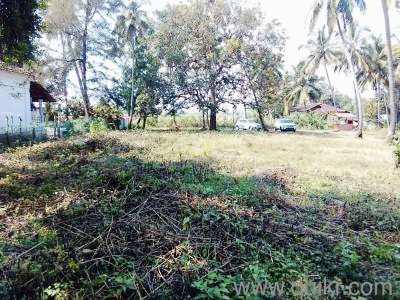 Commercial Land 675 Sq. Meter for Sale in Baga, Goa