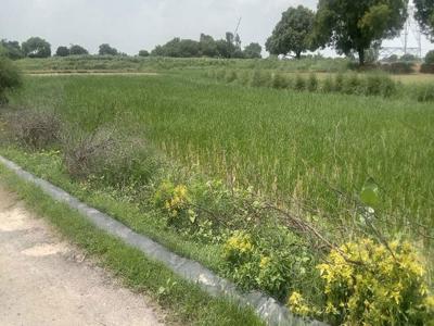 Farm Land for Sale in Akbarpur, Kanpur Dehat