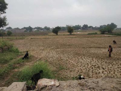 Agricultural Land 50 Bigha for Sale in Bundi Road, Kota