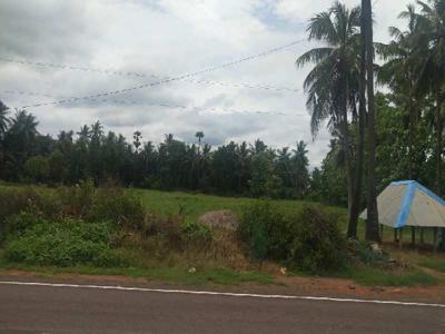 Agricultural Land 3 Acre for Sale in Dwaraka Tirumala, West Godavari