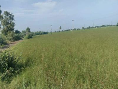 Farm Land for Sale in Perambakkam, Thiruvallur