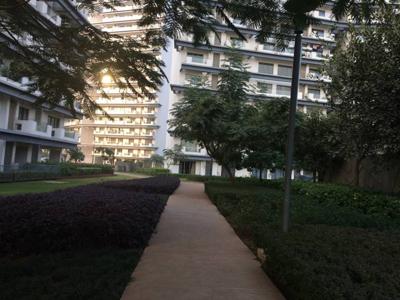 1705 sq ft 3 BHK Apartment for sale at Rs 1.60 crore in Tata Raisina Residency in Sector 59, Gurgaon