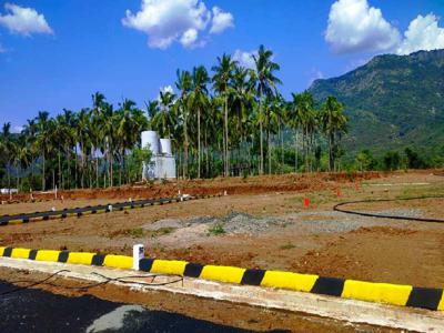 Residential Plot 1200 Sq.ft. for Sale in Chinnalapatti, Dindigul