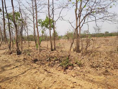 Agricultural Land 2 Acre for Sale in Wada, Palghar