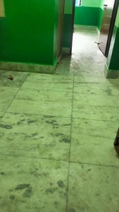 1 BHK Flat for rent in South Dum Dum, Kolkata - 540 Sqft