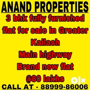 3 bhk fully furnished spacious large flat for sale in greater kailash