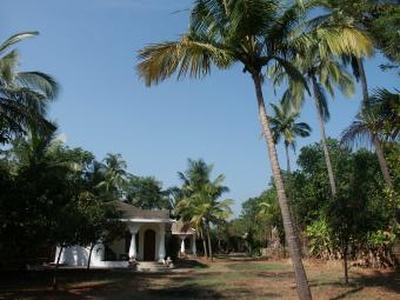 Beautiful Beachside compound For Sale India