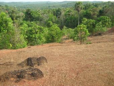 Hill View land at Malamalkkavu For Sale India