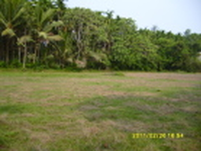 plots for sale,Mangalore For Sale India