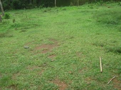 Residential land in ALUVA For Sale India