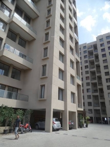 1033 sq ft 2 BHK 2T Apartment for rent in Gulmohar Renaissance at Wagholi, Pune by Agent Narsing A musale
