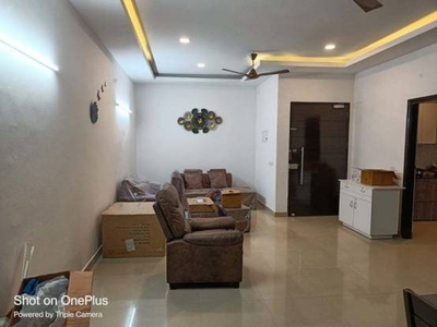 1245 sq ft 2 BHK 2T Apartment for rent in TDI Ourania Apartments at Sector 53, Gurgaon by Agent Tanisha Singh