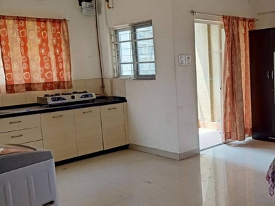 465 sq ft 1RK 1T Apartment for rent in Amanora Amanora Towers 23 25 at Hadapsar, Pune by Agent Individual Agent