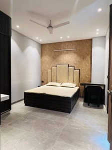 700 sq ft 1 BHK 1T BuilderFloor for rent in Ansal Sushant Lok 1 at Sector 43, Gurgaon by Agent Tanisha Singh