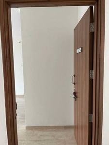 817 sq ft 2 BHK 2T Apartment for rent in Balaji Mesmero at Lohegaon, Pune by Agent YOGESH PROPERTY SOLUTION