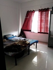 975 sq ft 1 BHK 3T Apartment for rent in Project at Ambegaon Budruk, Pune by Agent vikas