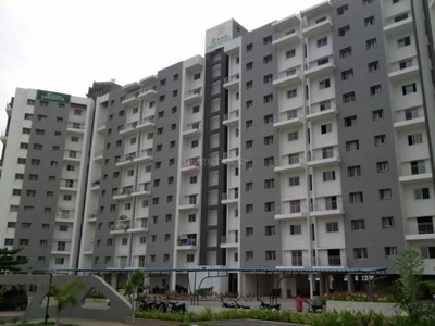 975 sq ft 2 BHK 2T Apartment for rent in Kumar Palmcrest at Undri, Pune by Agent Nirmal Dash