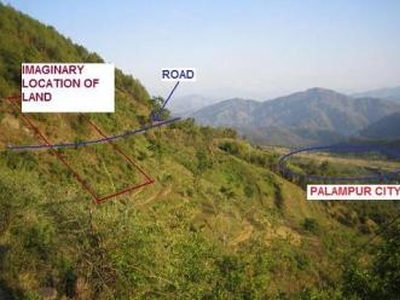 Palampur (HP) � Land for sale For Sale India