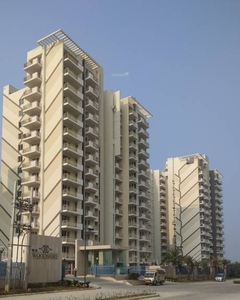 1355 sq ft 2 BHK Completed property Apartment for sale at Rs 73.85 lacs in M3M Woodshire in Sector 107, Gurgaon